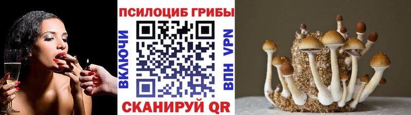 Псилоцибиновые грибы мухоморы  Асбест 