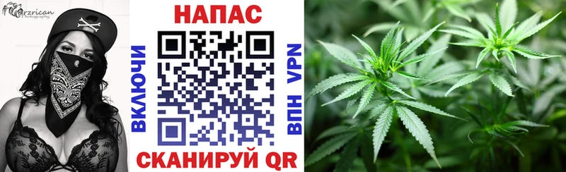 Канабис планчик  Асбест 